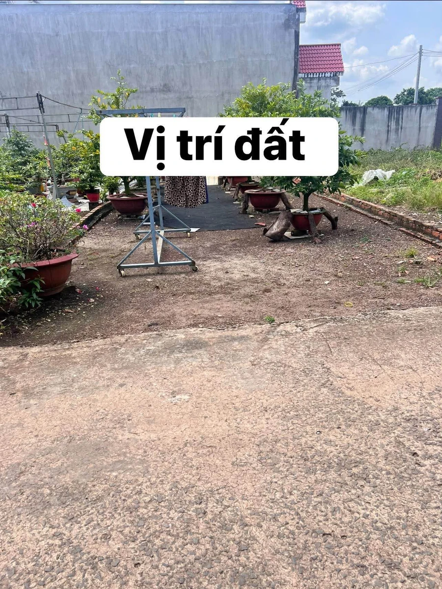 Bán đất nền 5x23m (115m²) giá 990 triệu Long Khánh - Ảnh thu nhỏ 5