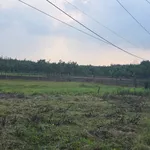 Bán đất 400m² mặt tiền Bù Đốp, Bình Phước - 570 triệu - Ảnh thu nhỏ 2