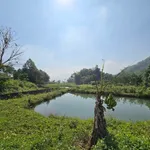 Bán đất 3000 m² tại Đà Bắc, Hòa Bình dưới 2 tỷ - Ảnh thu nhỏ 2