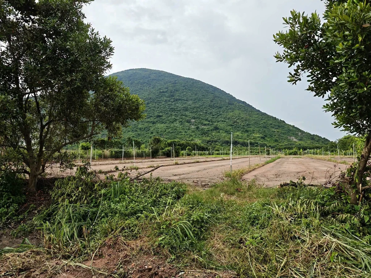 Bán đất trồng cây 600m² Tây Ninh, Phường Bình Minh - Ảnh thu nhỏ 4