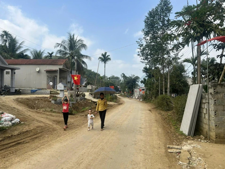 Đất cực đẹp tại phố Cao Phong, Ngọc Lặc, 200 triệu, 146.5m2 giá siêu hời - Ảnh thu nhỏ 2