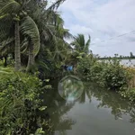 Bán đất lúa tôm 9.773 m² thị trấn Phước Long, Cà Mau - Ảnh thu nhỏ 3