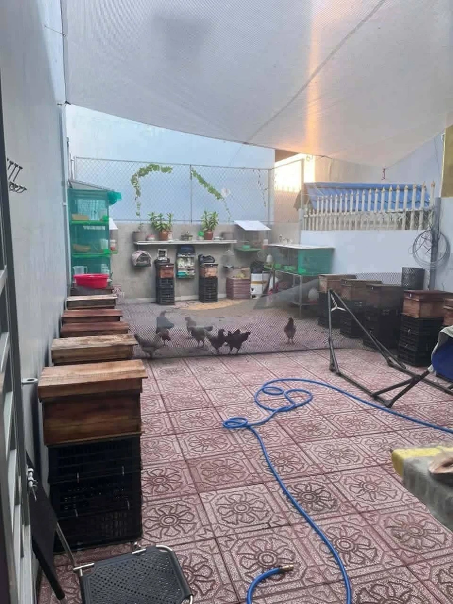 Bán đất 129m² tặng nhà nhỏ Mỹ Lộc Long An 2.2 tỷ - Ảnh thu nhỏ 2