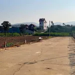 Bán đất Mê Linh gần Đà Lạt 175m² 899 triệu - Ảnh thu nhỏ 1