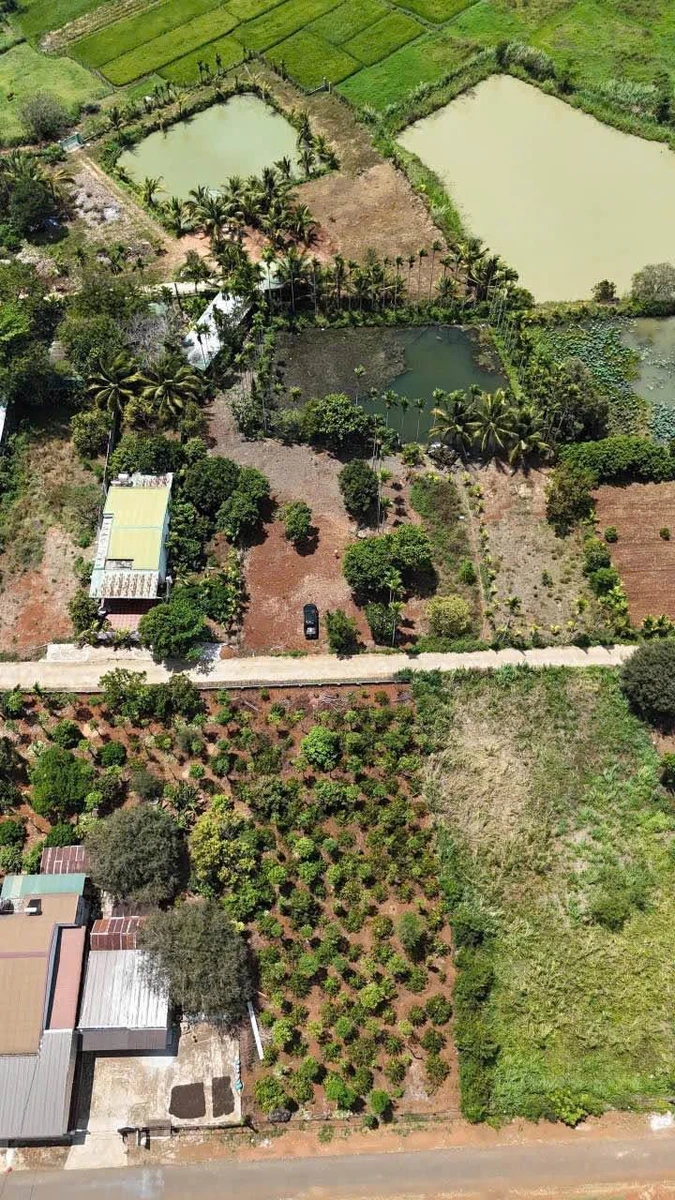 Bán đất Khối 15 Khánh Xuân, Buôn Ma Thuột, 1742m², 4.68 tỷ - Ảnh thu nhỏ 2