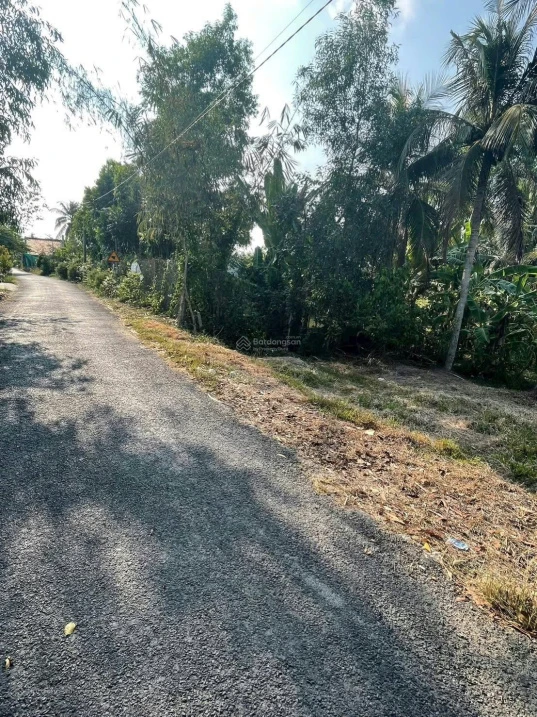 Bán đất tại xã Phú Quới, huyện Long Hồ, Vĩnh Long, giá siêu hời 3,9 tỷ, 1169,2 m2 - Ảnh thu nhỏ 5