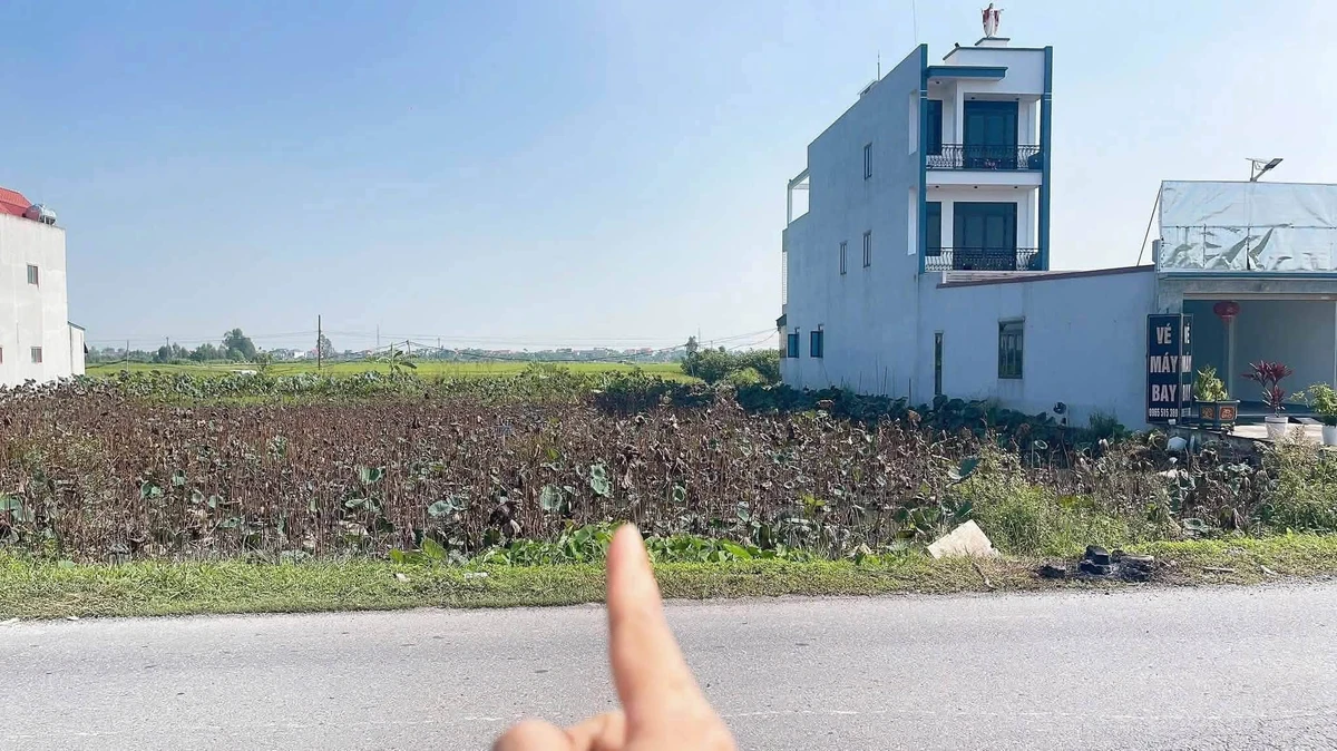 Bán lô đất 117,5m² mặt tiền tại Vạn Phúc, Ninh Giang, Hải Dương - 2,5 tỷ - Ảnh 1