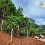 Bán 2 lô đất liền kề ven Đà Lạt, đường ô tô, Diện tích 368371m², sổ hồng riêng - Ảnh thu nhỏ 1