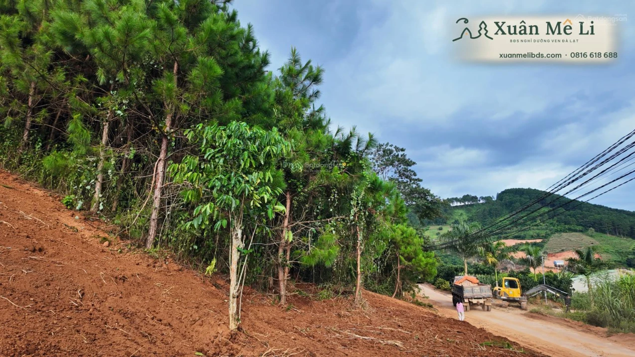 Bán 2 lô đất liền kề ven Đà Lạt, đường ô tô, Diện tích 368371m², sổ hồng riêng - Ảnh 1