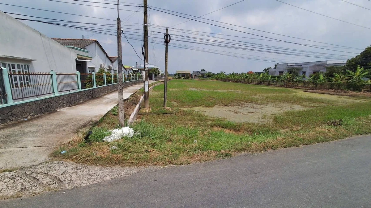 Bán đất lúa 2140m2 hai mặt tiền ở Tây Ninh - Ảnh thu nhỏ 2
