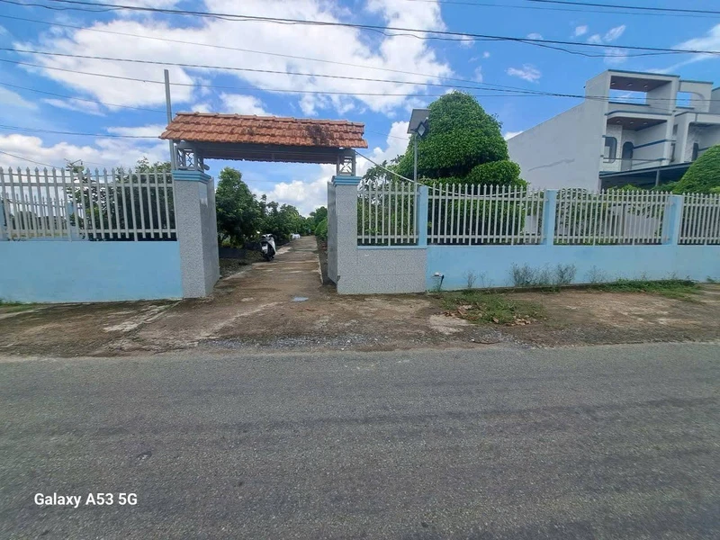 Bán nhà vườn 3550m² Phước Lâm Cần Giuộc 19,5 tỷ