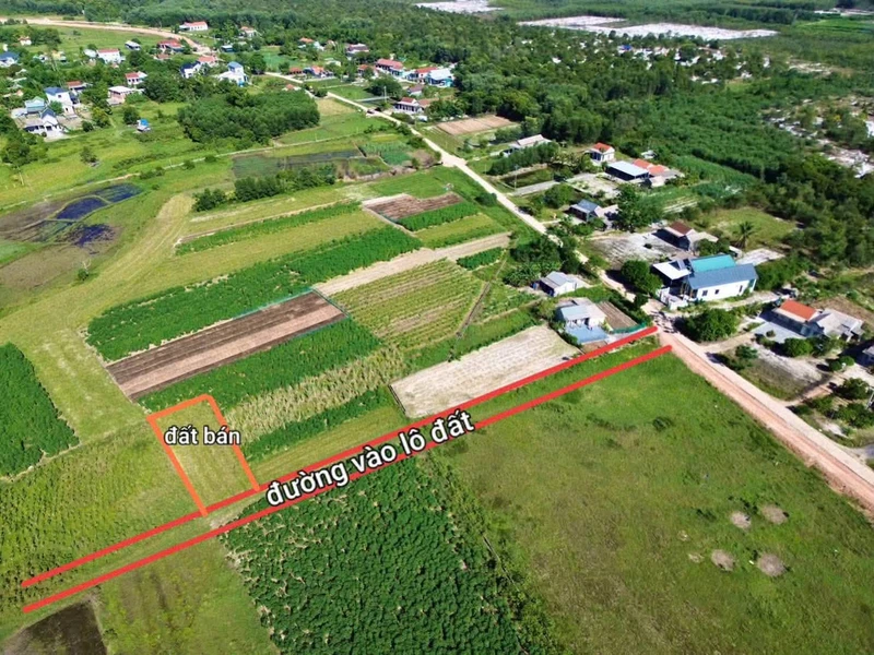 Bán lô đất trồng cây 336m2 cạnh KCN Phong Điền, Huế, giá 59 triệu