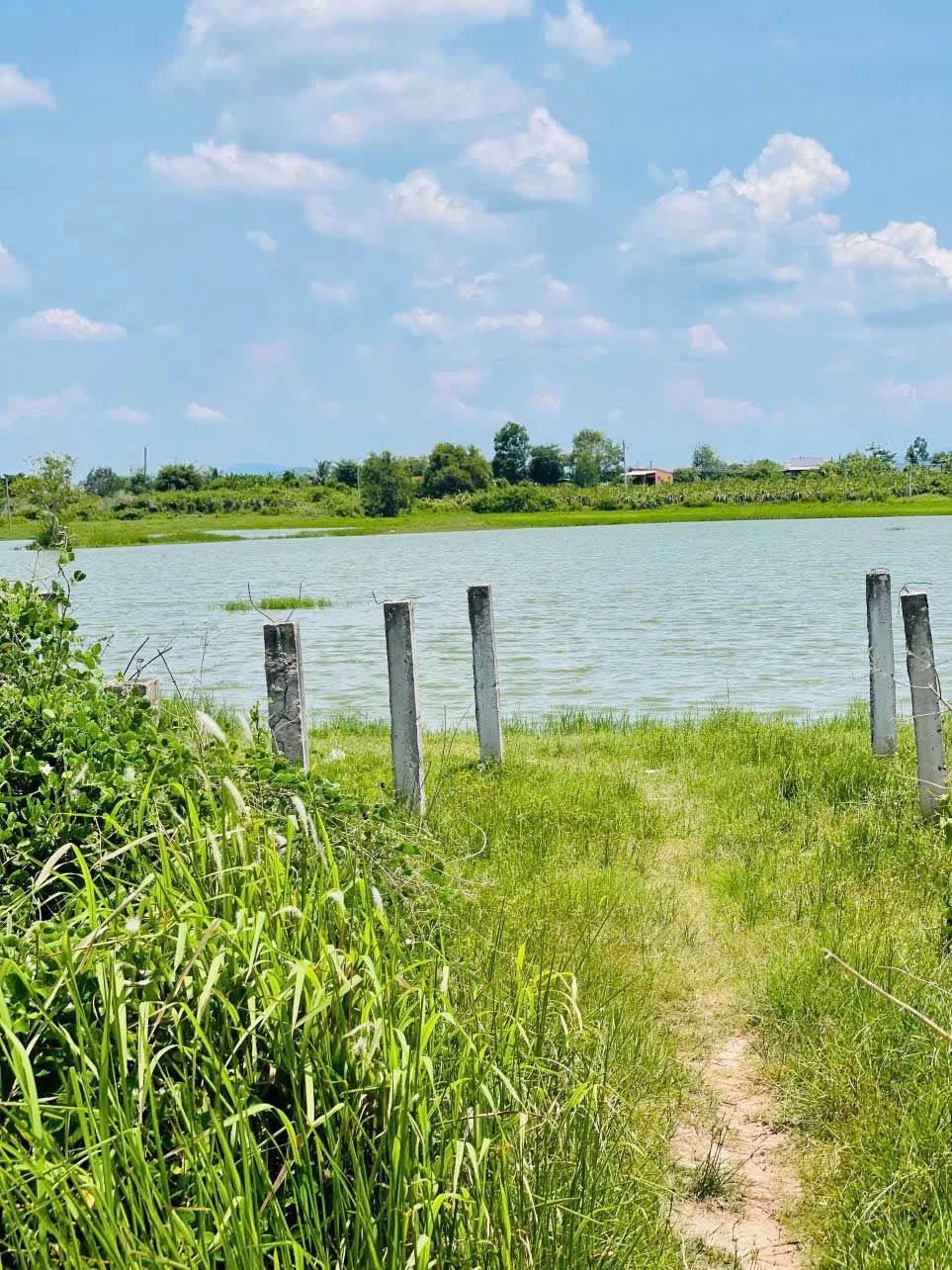 Bán đất 488m2 Thuận Thành Hàm Liêm Phan Thiết 450 triệu - Ảnh 1