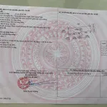 Bán đất KĐT Phú An Khang lô đôi (10m x 22.5m) hướng Đông sạch đẹp, sổ hồng sẵn giá 11.5triệu/m2 TL - Ảnh thu nhỏ 15