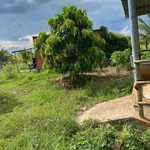 Bán đất vườn 1,2 mẫu (7,6 sào) 1 tỷ 4 Bình Chánh - Ảnh thu nhỏ 3