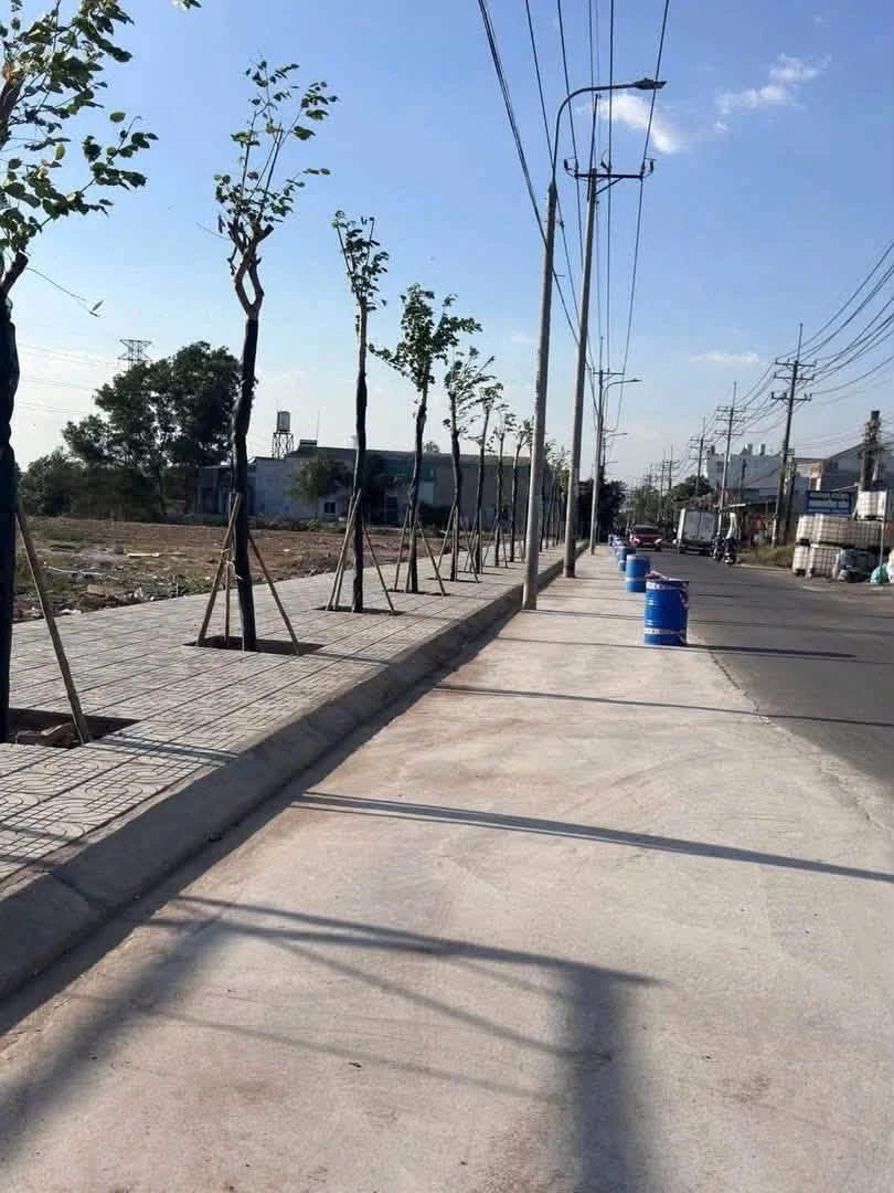 Bán đất mặt tiền kinh doanh 5x43m, sổ hồng thổ cư tại Ấp 8, An Phước, Long Thành - Ảnh thu nhỏ 3