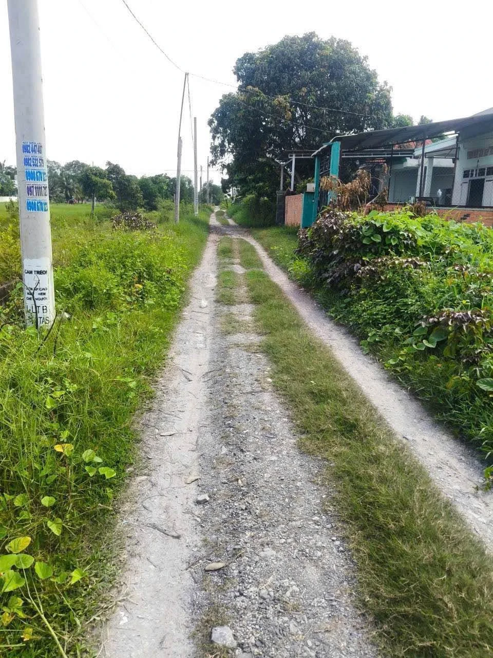 Bán 1760m2 đất vườn xã Mỹ Hạnh, cách TL824 200m, sổ hồng riêng, giá 4,4 tỷ - Ảnh 1