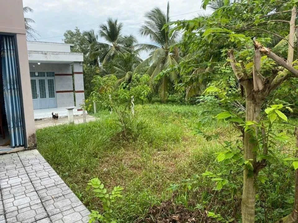 Bán đất 513m Bình Phú, Bến Tre, 950 triệu - Ảnh 1