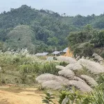 Bán trang trại, khu nghỉ dưỡng tại P. Phùng Chí Kiên, Bắc Kạn, 9 tỷ, 11000 m2, giá siêu hời, uy tín - Ảnh thu nhỏ 14