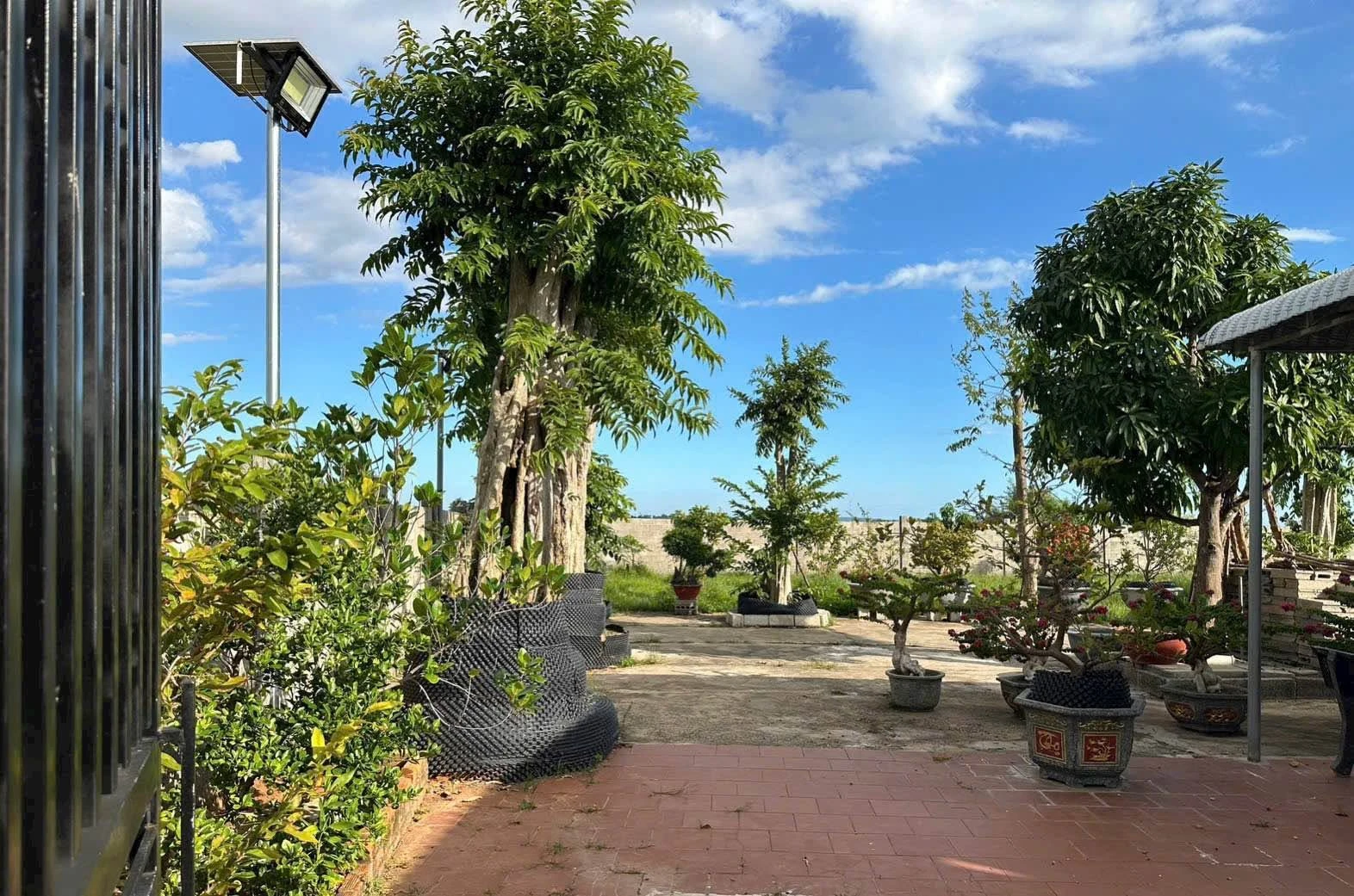 Bán đất vườn 978m² sổ riêng gần biển Phan Thiết - Ảnh 1