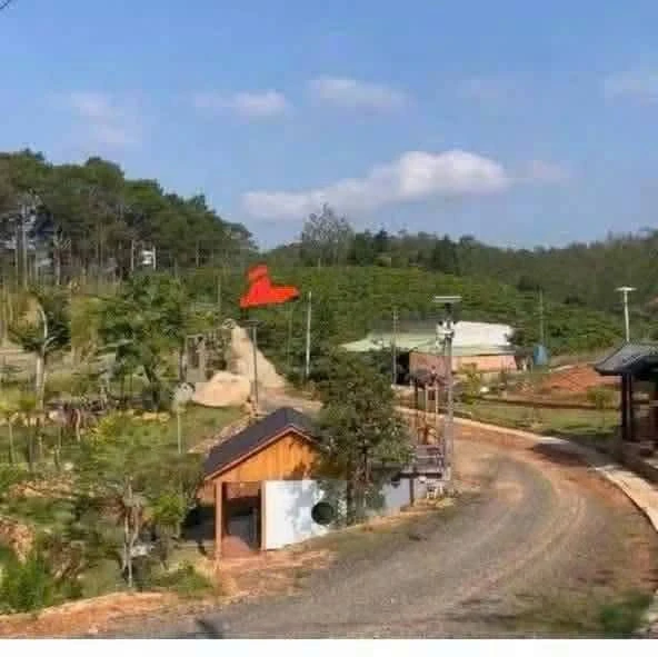 Bán vườn cà phê 400m thổ cư Bảo Lâm 4.1 tỷ - Ảnh 1