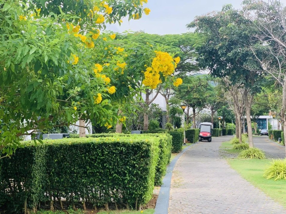 Chính chủ bán nhanh bán biệt thự biển nghỉ dưỡng Oceanami Luxury Homes and Resort, Long Hải, 236m2 - Ảnh thu nhỏ 5