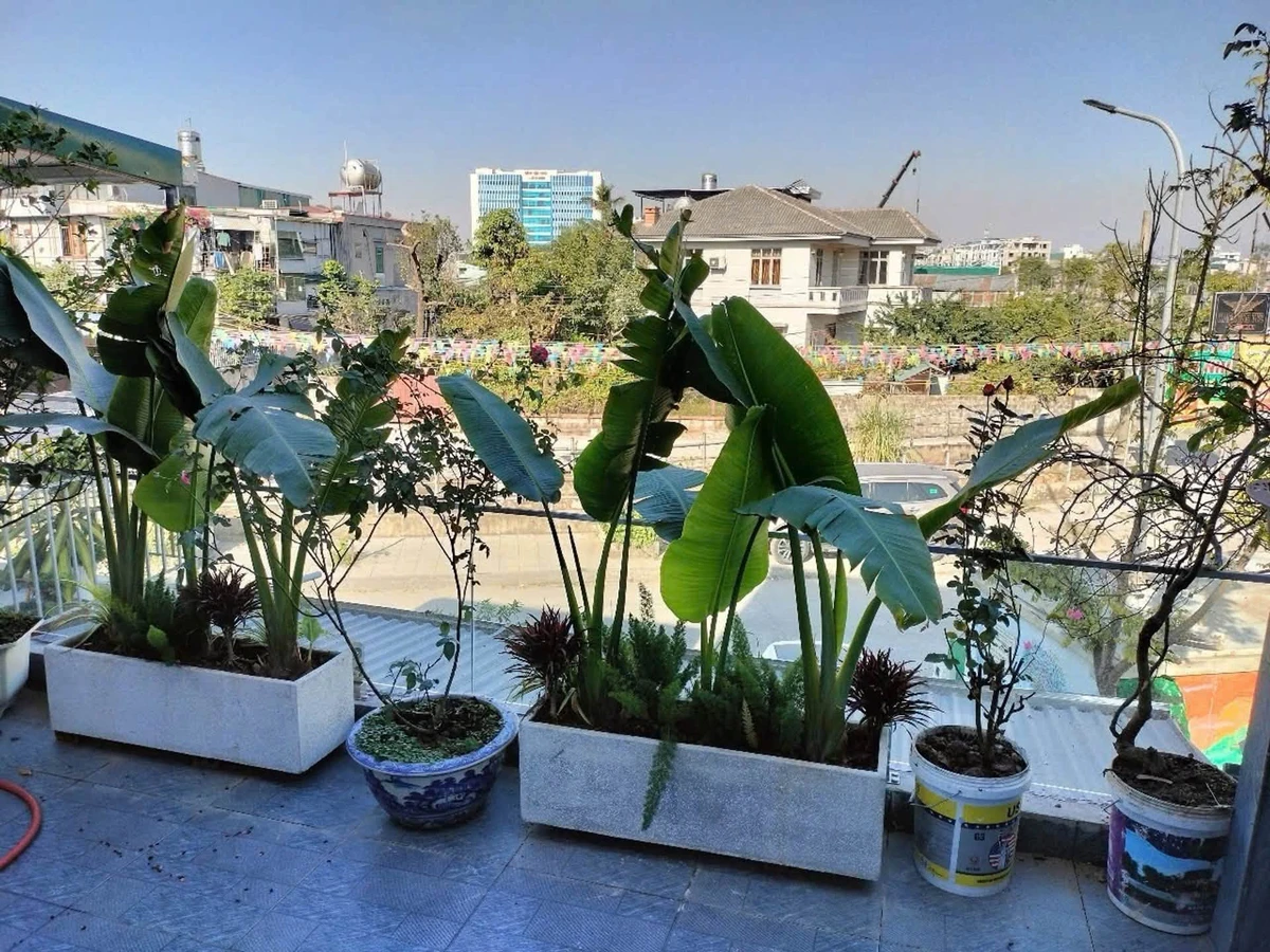 Bán nhà cấp 4 114m² ngõ Cao Xanh, gần trường học - Ảnh thu nhỏ 2