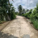 Bán đất ở đô thị 5x36m mặt tiền đường đan, khu phố Thọ Phú, Phường Long An - Ảnh thu nhỏ 1