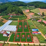 Bán đất Nam Ban 933 m² sổ riêng, 1,68 tỷ - Ảnh thu nhỏ 1