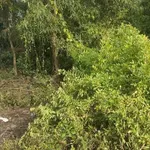 Bán nền đất 144m2 mặt tiền Đan Kênh Xáng, Tây Ninh 850 triệu - Ảnh thu nhỏ 3