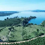 Bán đất nông nghiệp 1.000-2.000m² Đăk Hà, Kon Tum, 280-350 tr/1.000m² - Ảnh thu nhỏ 1