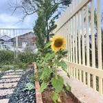 Bán nhà đất khu nghỉ dưỡng kết hợp kinh doanh - Ảnh thu nhỏ 5