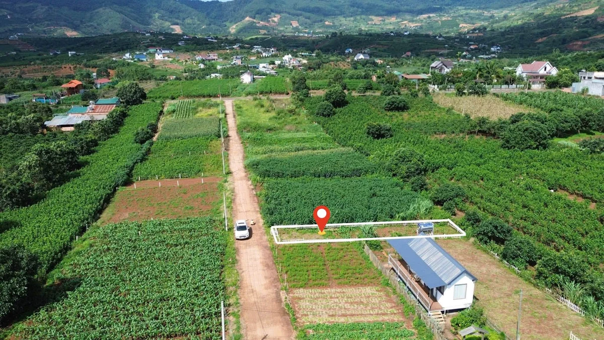 Bán đất nền 128m² Nam Ban Lâm Hà, Lâm Đồng 529 triệu - Ảnh thu nhỏ 3