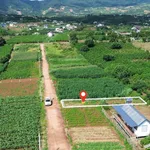 Bán đất nền 128m² Nam Ban Lâm Hà, Lâm Đồng 529 triệu - Ảnh thu nhỏ 3