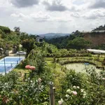 Bán đất sinh thái Đông Anh Nam Ban Lâm Đồng 13000m² 16 tỷ - Ảnh thu nhỏ 3