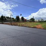 Bán lô đất Tân Hà 7x29 (100m2), giá 570 triệu - Ảnh thu nhỏ 4