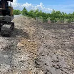 Bán đất vườn 500m² Thủ Thừa Long An 319 triệu - Ảnh thu nhỏ 1