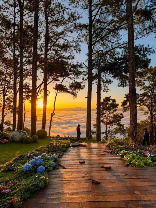 Đất gần trung tâm Măng Đen giá khá tốt ạ - Ảnh thu nhỏ 3