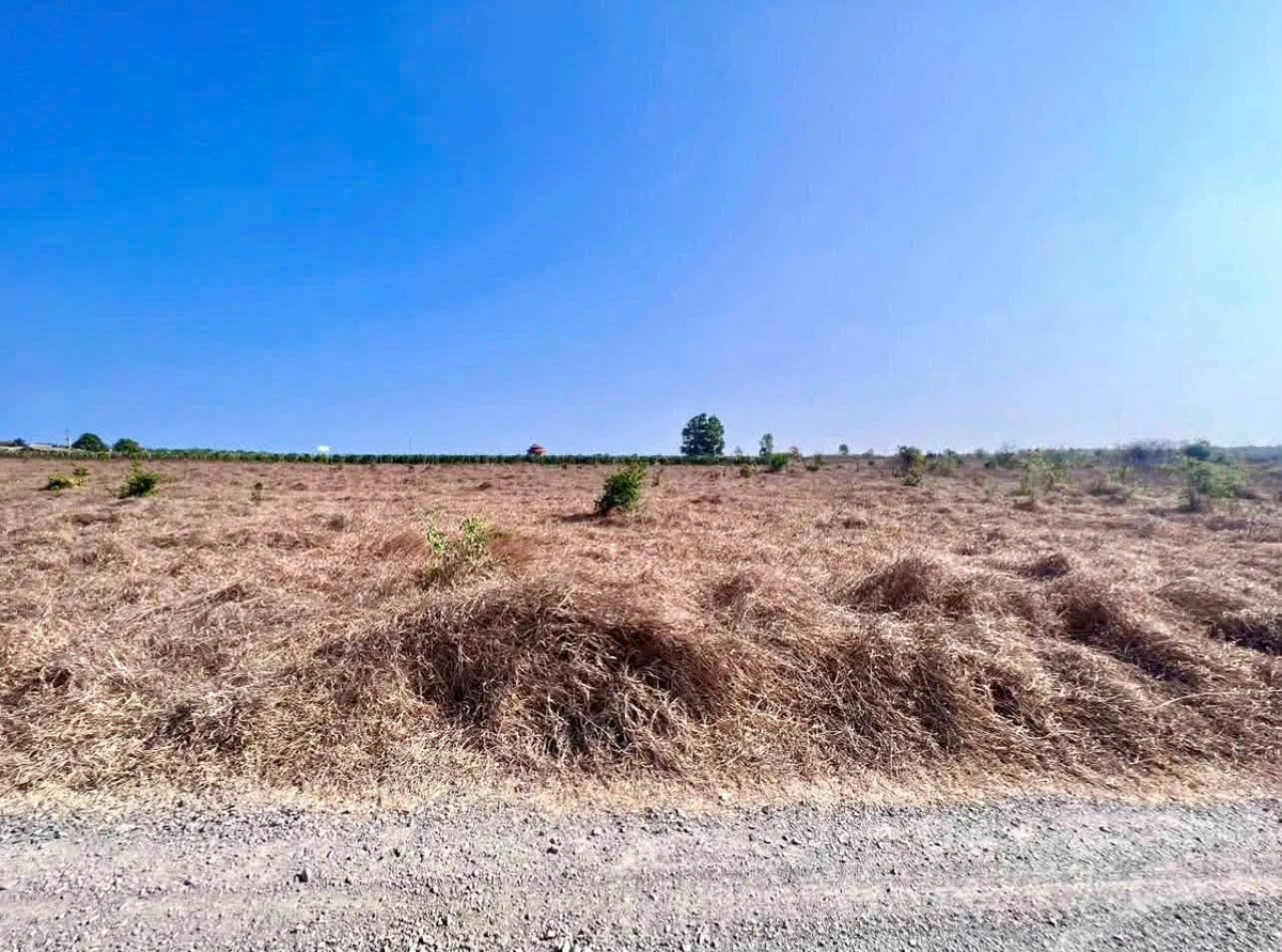 Bán đất biển Tiến Thành 2000m² sổ hồng riêng, view cánh quạt gió - Ảnh thu nhỏ 4