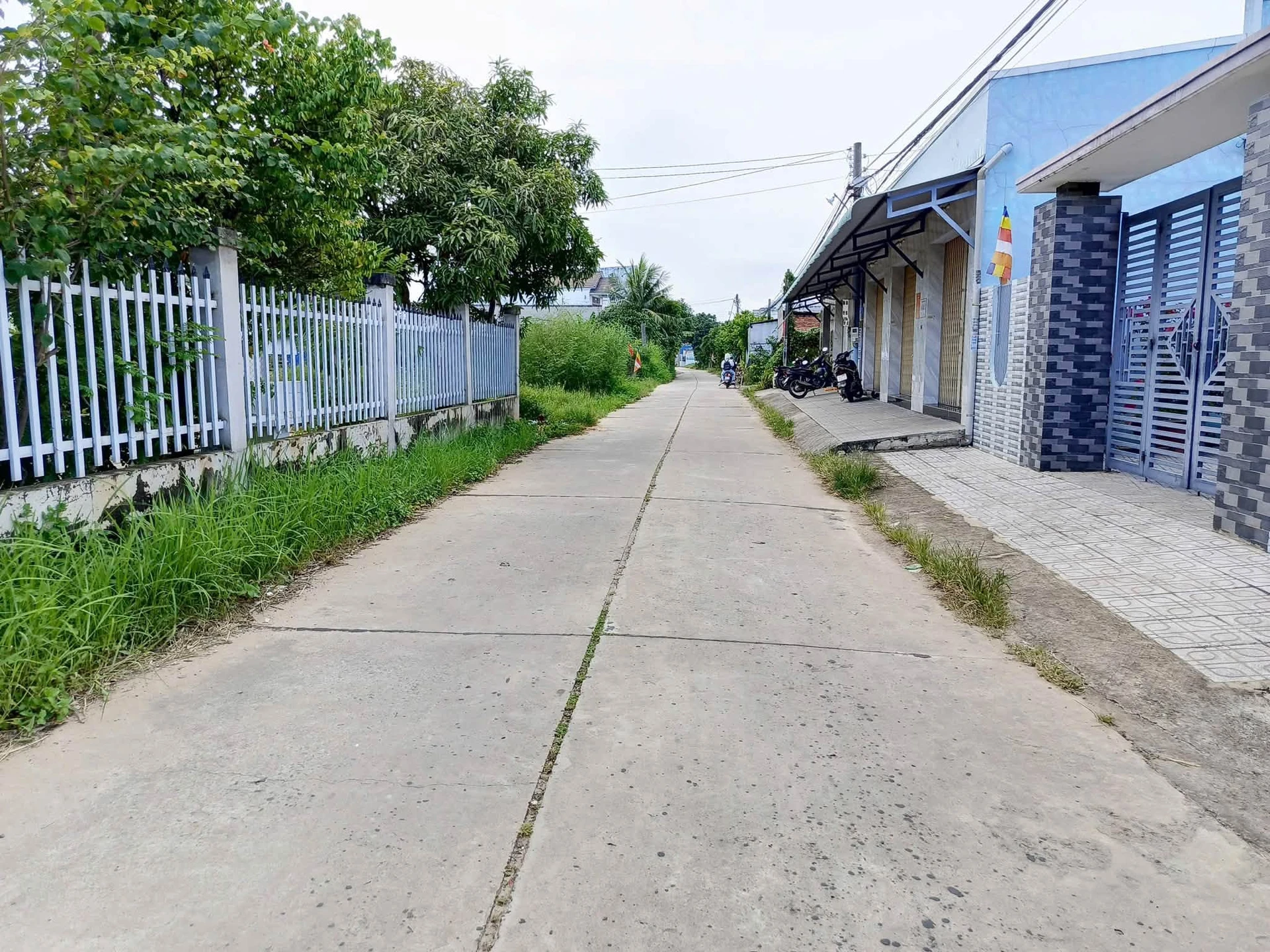 Bán lô đất quy hoạch thổ cư 1786m² với nhà cấp 4 Hàm Mỹ - Ảnh 1