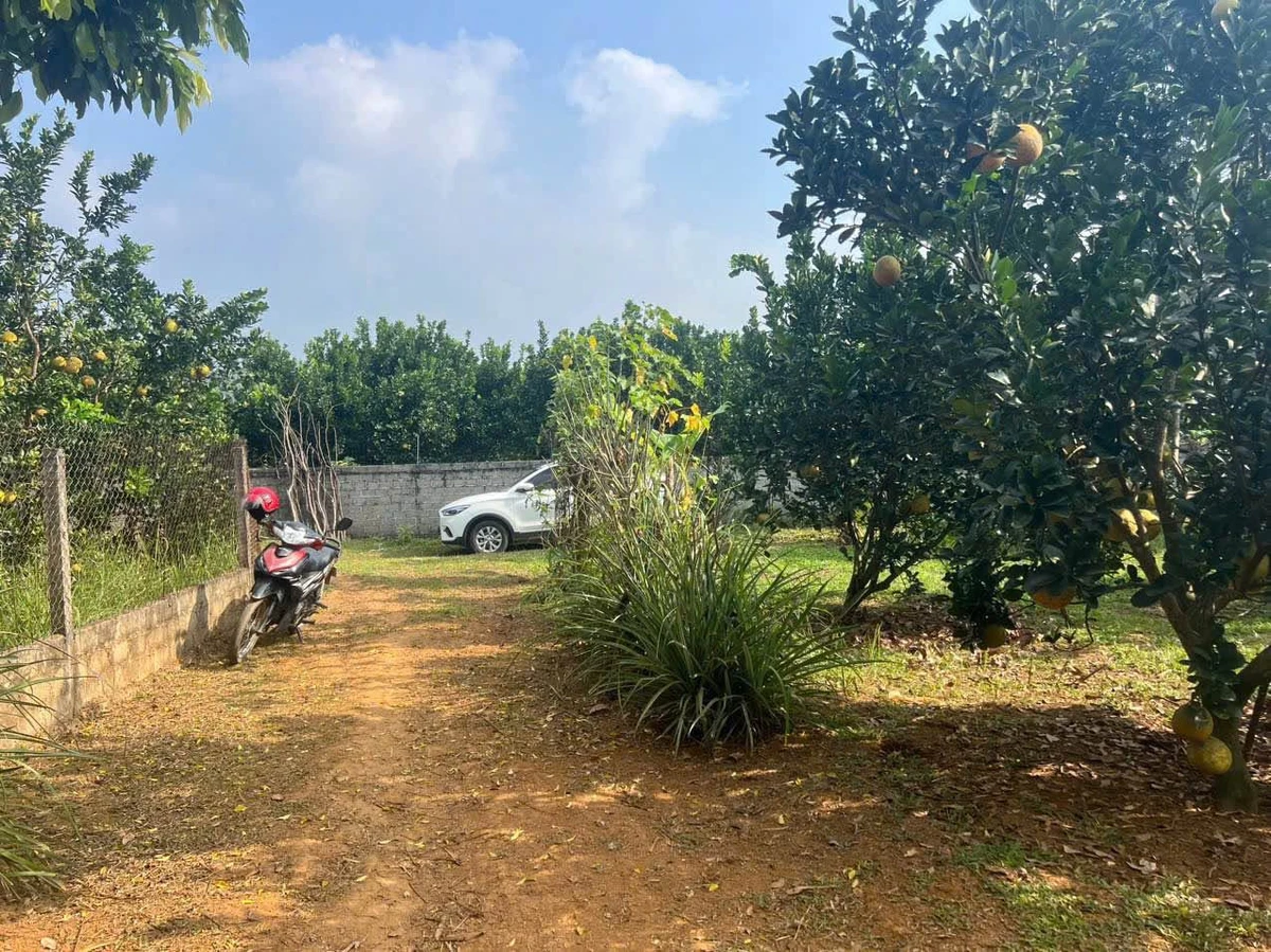 Bán đất góc 360m² tại Tân Lạc Hòa Bình giá 199 triệu - Ảnh thu nhỏ 2