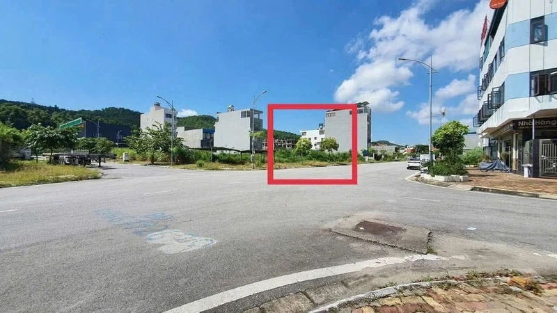 Bán đất mặt tiền kinh doanh QL55 Đất Đỏ 593m² baolebds