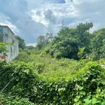 Nhanh tay sở hữu mảnh đất đẹp tại phường Mỹ Thới, An Giang (Thành phố Long Xuyên, An Giang cũ) - Ảnh thu nhỏ 4