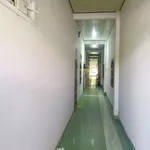 Bán dãy trọ 9 phòng 140m² Ninh Hòa 1 tỷ - Ảnh thu nhỏ 2