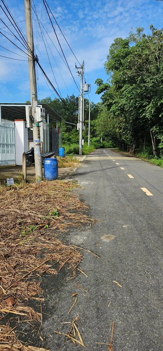 Bán đất Long Nguyên 100m² Bình Dương 1,1 tỷ - Ảnh thu nhỏ 3