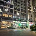CĐT bán đợt cuối shophouse 55m2 - 12,2 tỷ (cho thuê 50tr/tháng) sẵn sổ lâu dài, quá ngon, rẻ vô đối - Ảnh thu nhỏ 28