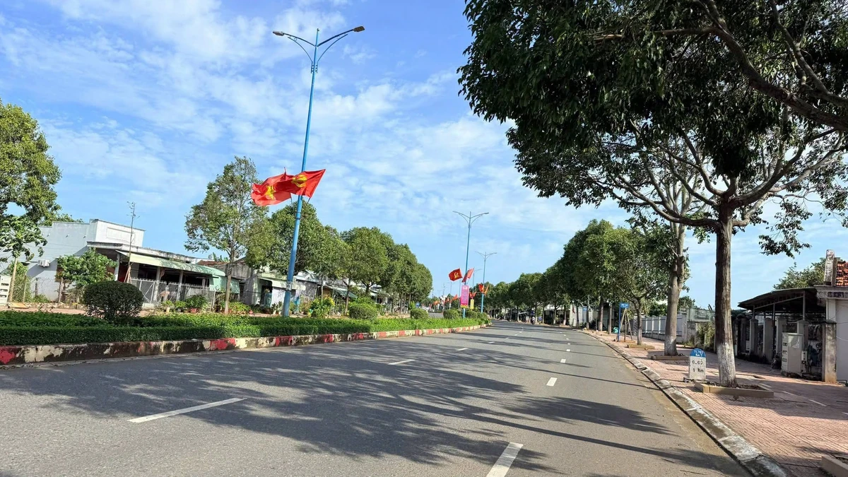Bán đất mặt tiền Tỉnh lộ 52 Đất Đỏ 752.7m2 - Ảnh thu nhỏ 2
