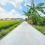 Bán đất 376m² (10x38) xã Bình Trinh Đông, Tân Trụ, Tây Ninh giá 500 triệu - Ảnh thu nhỏ 1