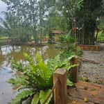 Bán farm sinh thái 7000m2 Đồng Xoài, Bình Dương - Ảnh thu nhỏ 5