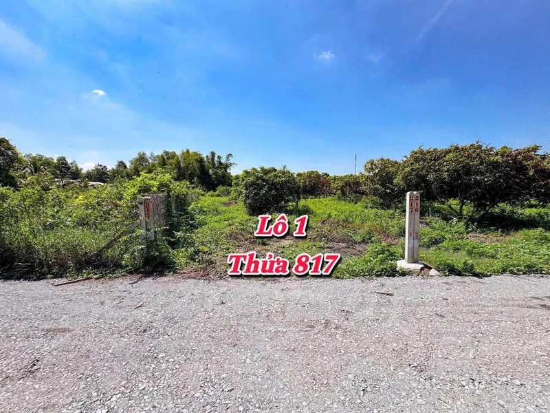 Bán 8 lô đất thổ cư 5x40 tại Cầu Khởi, Tây Ninh 279 triệu/lô